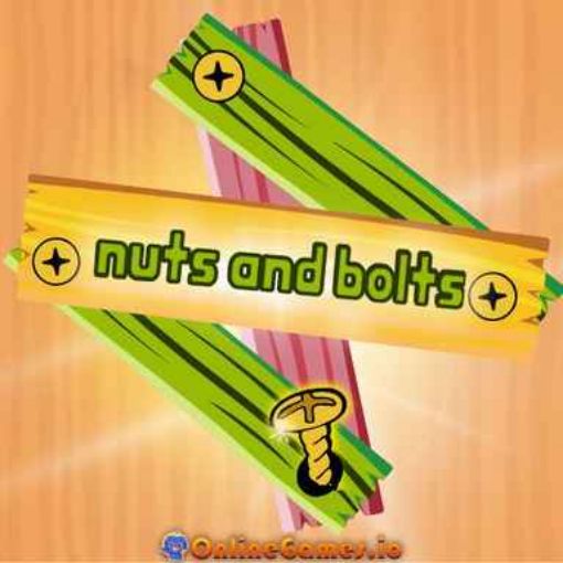Picture of Nuts and Bolts Puzzle